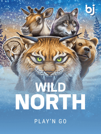 Wild North screenshot